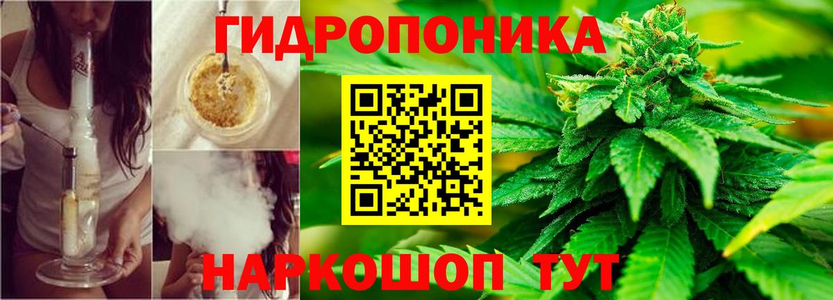 Чернушка  Канабис марихуана  Вход с VPN  МАРИХУАНА LSD WEED  Каннабис марихуана  Марихуана семена 